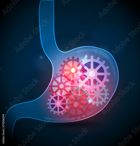 Digestive system working concept