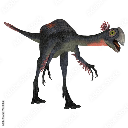 Fototapeta Naklejka Na Ścianę i Meble -  Dinosaur Gigantoraptor