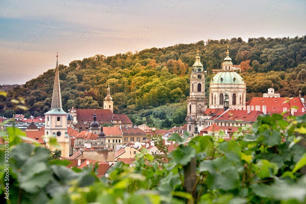 Vineyard of Prague and St Nicholas church, Czech Republic