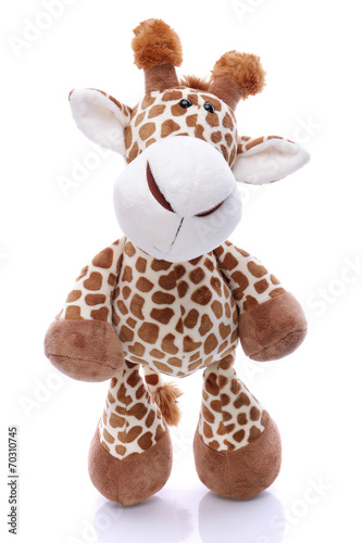 Plush giraffe on white background #70310745