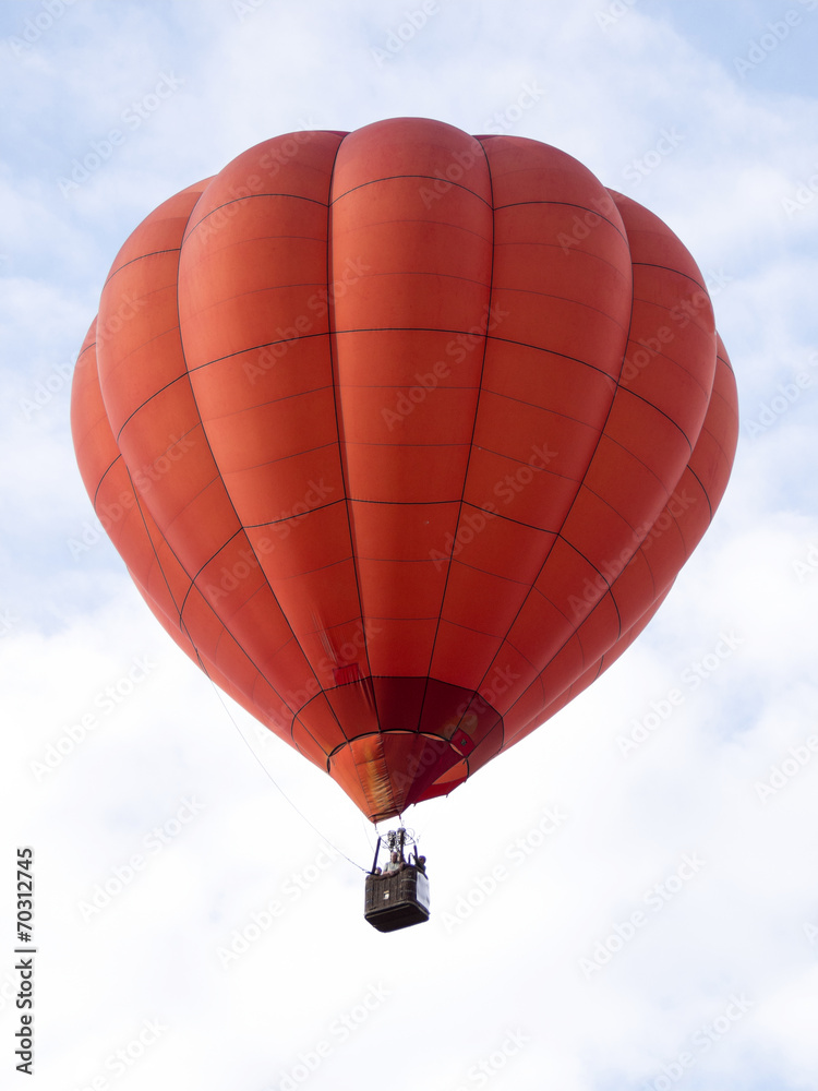 Fototapeta premium Montgolfiere #111