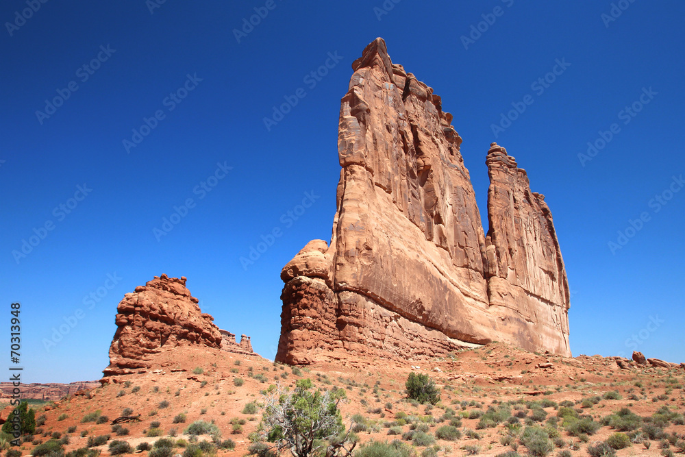 Arches National Park - The Organ