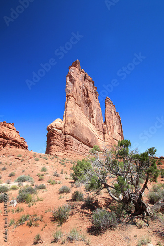 Arches National Park - The Organ
