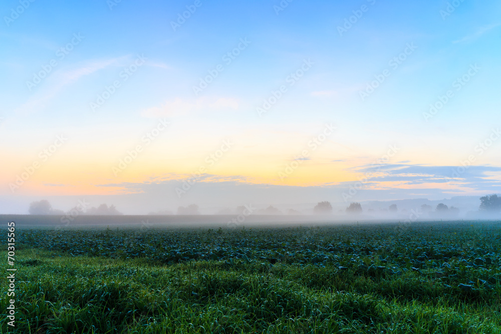 Obraz premium Foggy Morning Sunrise in Bavaria