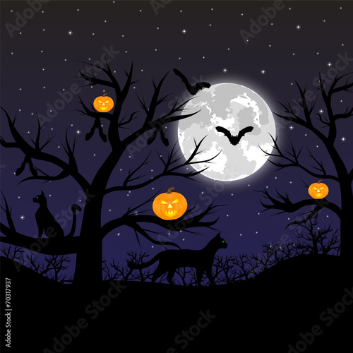 Forest with pumpkins, bats and cats at the full moon