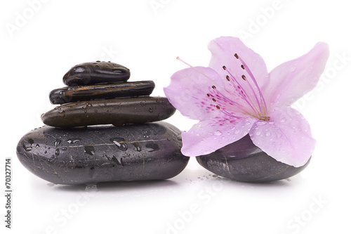 Spa stones and tropical flower