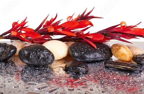 Red flowers and black stones with reflection
