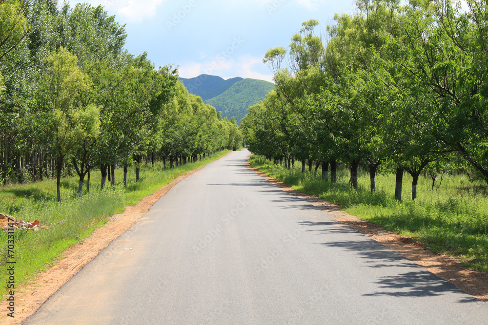 Country side road Country side road