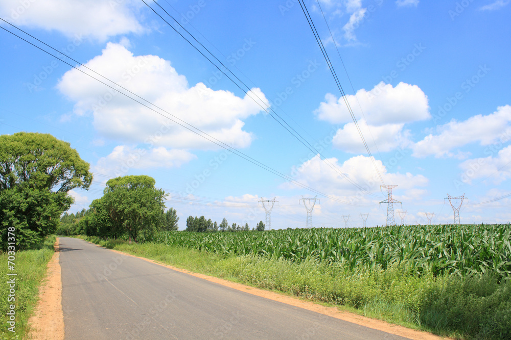 Country side road