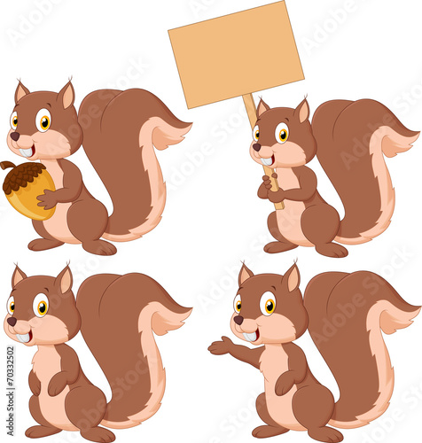Cute carton squirrel collection set