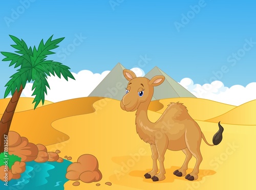 Cartoon camel with desert background