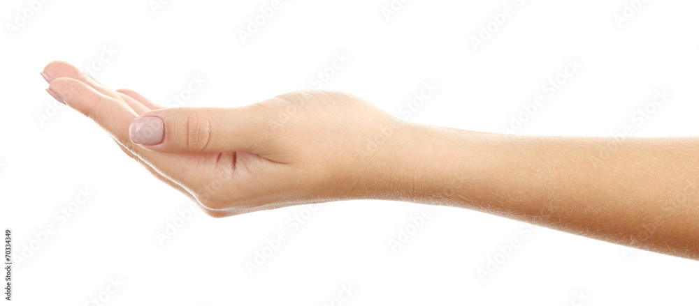 Female hand isolated on white Female hand isolated on white