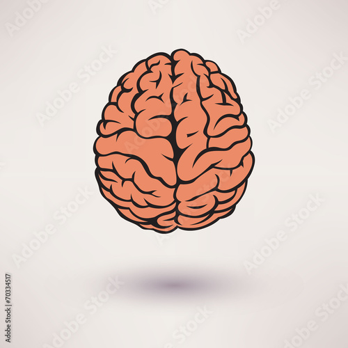 Brain icon. On the white background. Vector illustration.