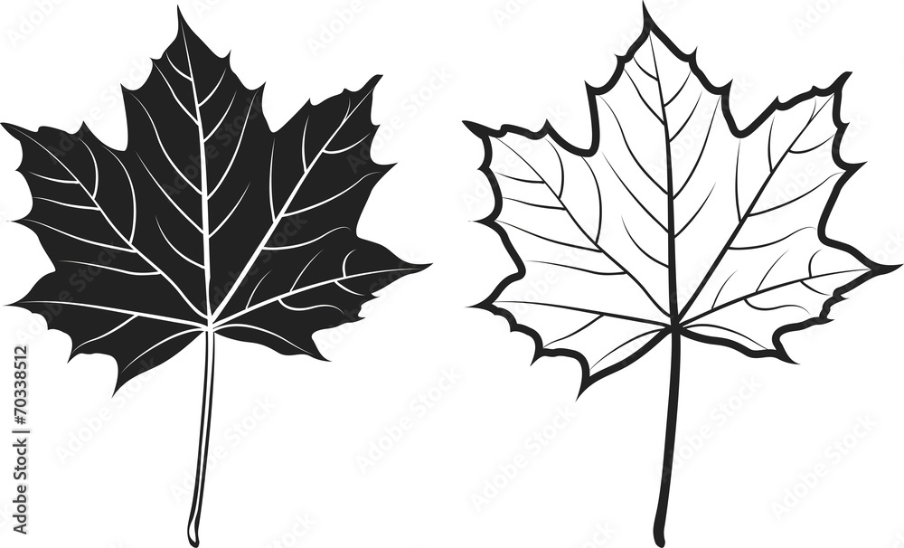 Naklejka premium Feuilles érable pictos
