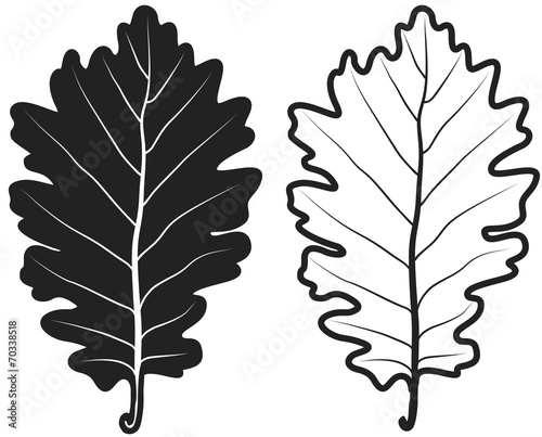 Feuilles chêne pictos
