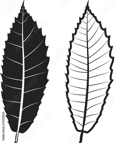 Feuilles châtaignier pictos