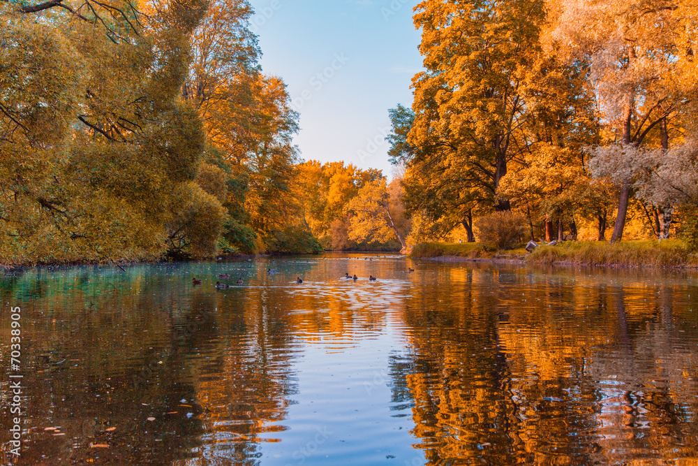 Fototapeta premium В парке