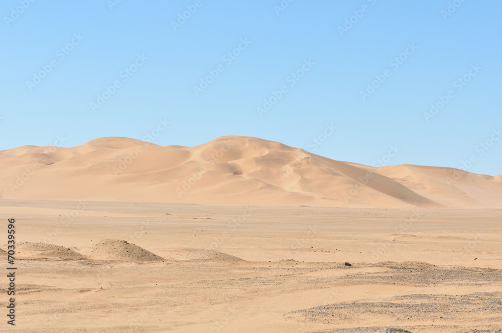 Dune 7 in the Namib desert