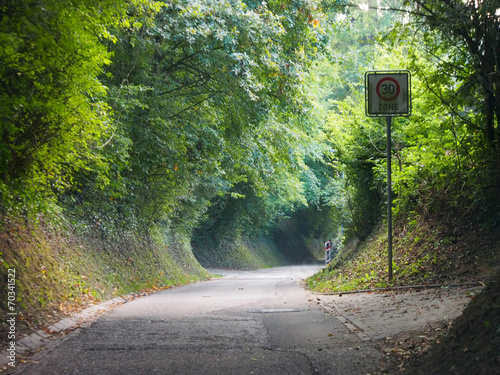 Obraz na płótnie Feld und Wirtschaftsweg