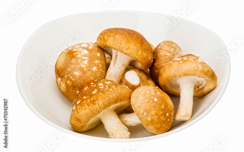 Schitake