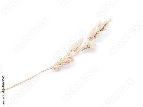 dry cereals on a white background