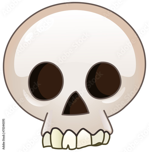 Skull