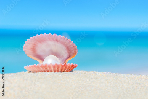 Open shell with a pearl on sandy beach
