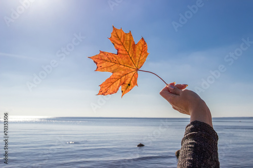 Maple leaf  women hand against  sky sea blue yellow orange autum