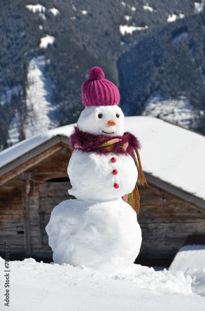 Obraz premium Snowman against Alpine panorama