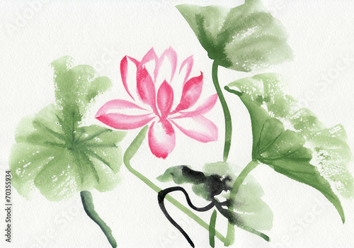 Lotus flower watercolor painting