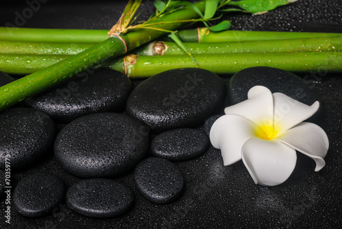 spa concept of zen basalt stones, white flower frangipani and na