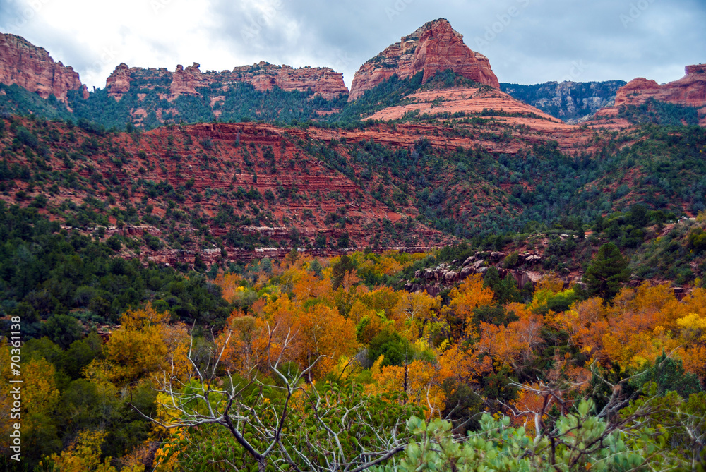 Sedona Foliage on a Cloudy Fall Day