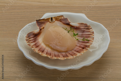 Raw scallops photo