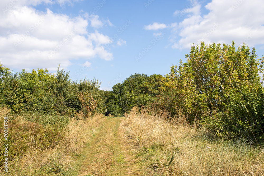 Fototapeta premium Idyllic landscape with blue sky and clouds, road