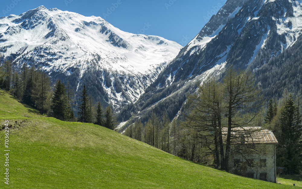 panoramic alpine landscape
