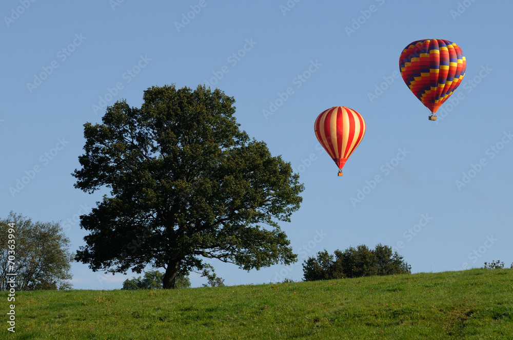 Fototapeta premium Montgolfière