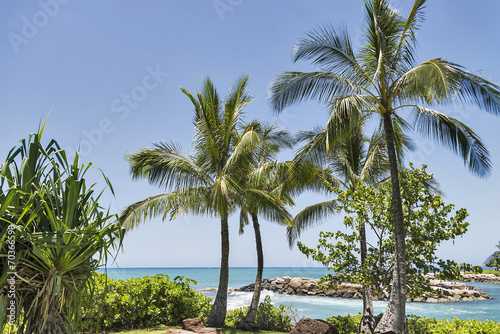 Tropical Hawaiian beach