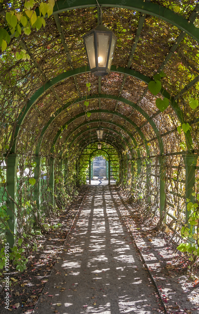 Arch In The Park Arch In The Park