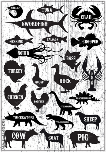 set vector silhouettes of animals and birds on wood background