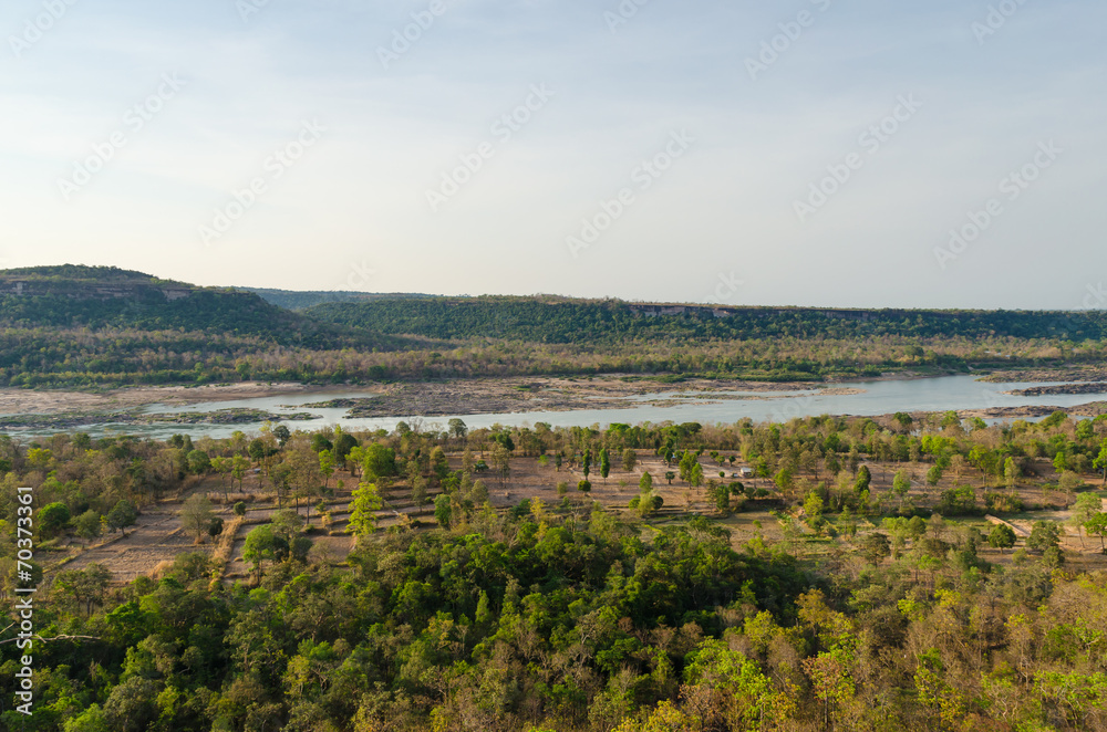 View of forest and river at ubon ratchathani thailand