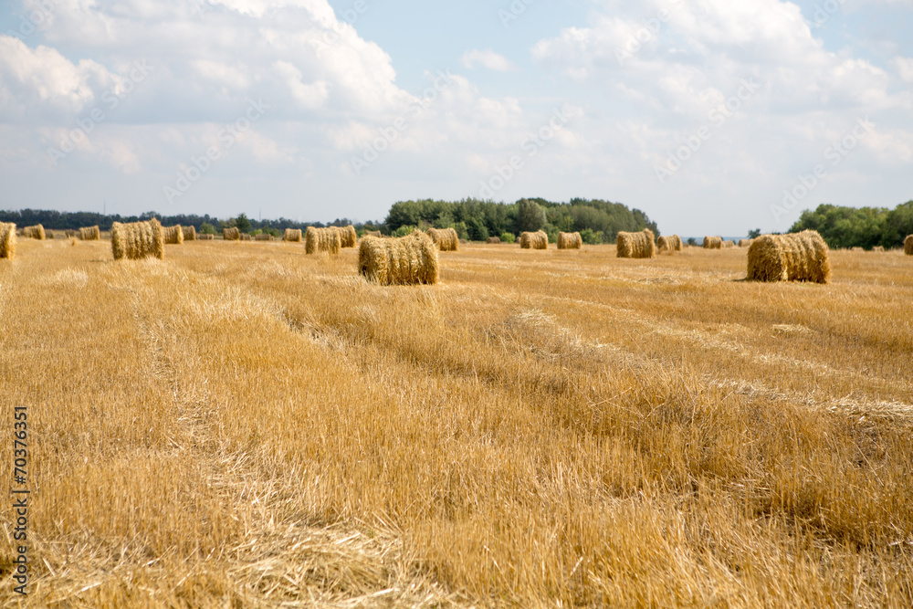 Fototapeta premium Hay bale or sheaf in a cold day