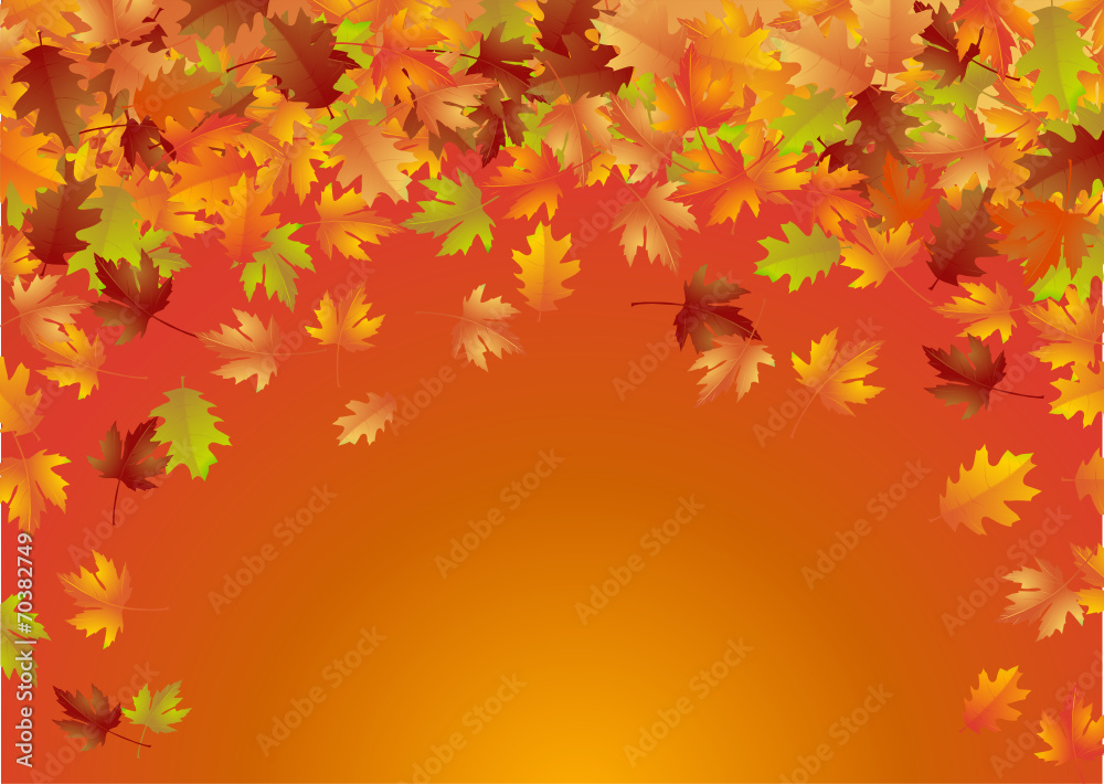 Herbstlaub Herbstlaub