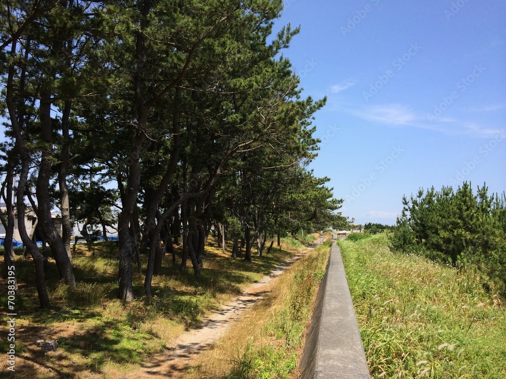 Fototapeta premium 海辺