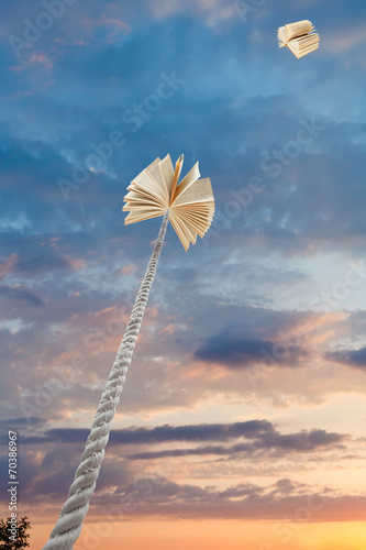 flying and tied books in sunset sky