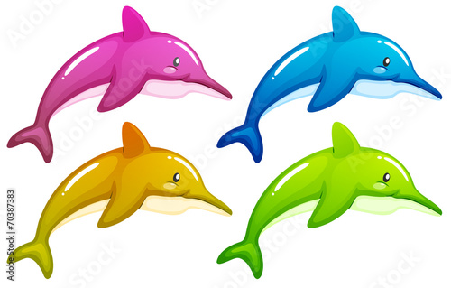 Four dolphins
