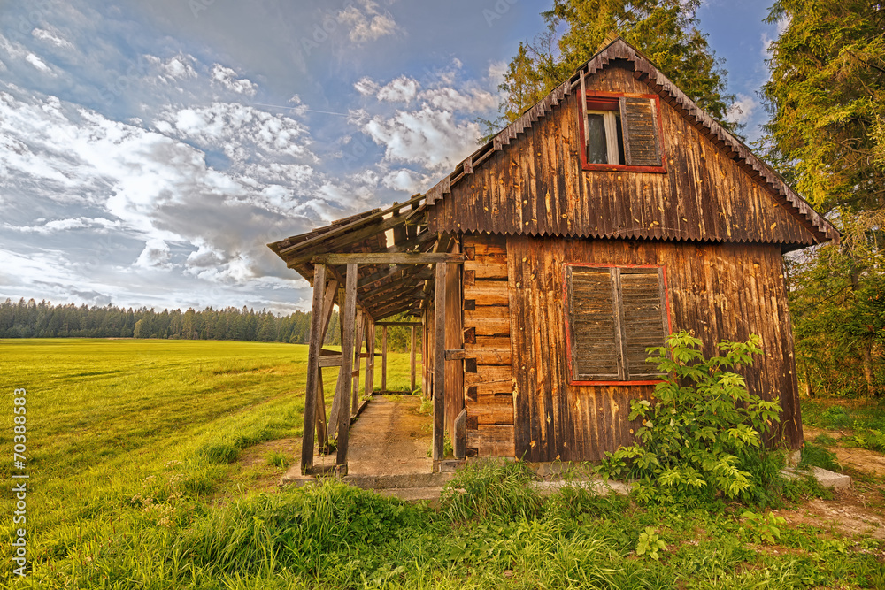 Obraz premium Discarded wooden cabin