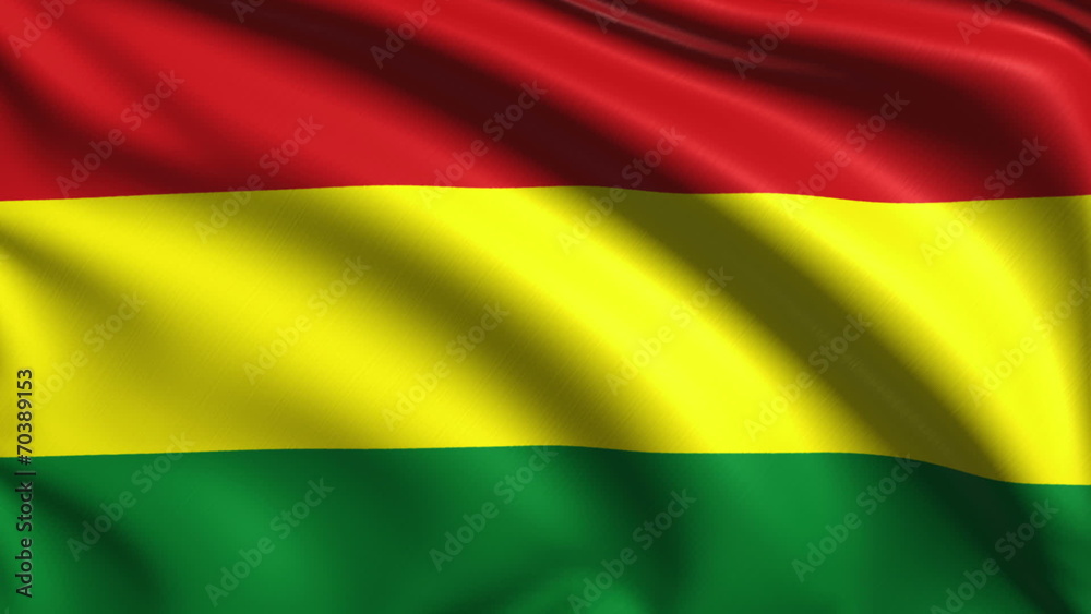 flag of Bolivia with fabric structure; looping
