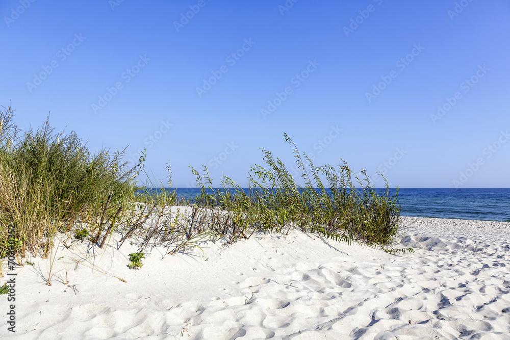 Beach access between the dunes