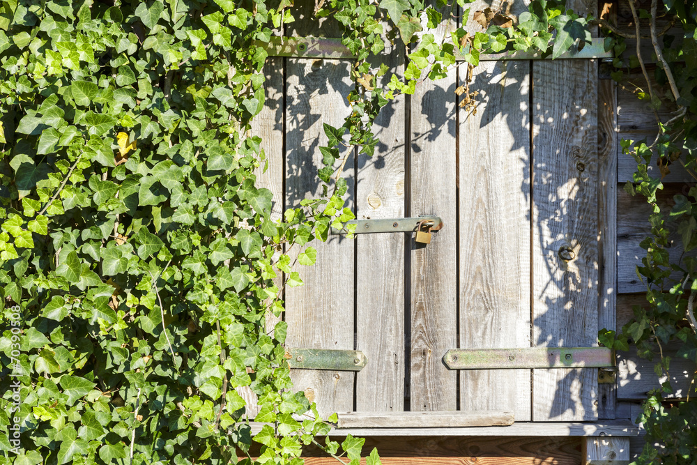 Old wooden rustic window closed with the shutters Old wooden rustic window closed with the shutters