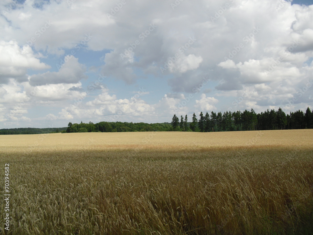 Ostharz Feld Himmel Wolken